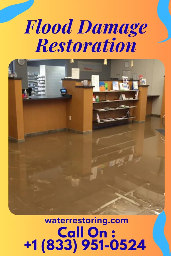Flood Damage Restoration in Lake, MS