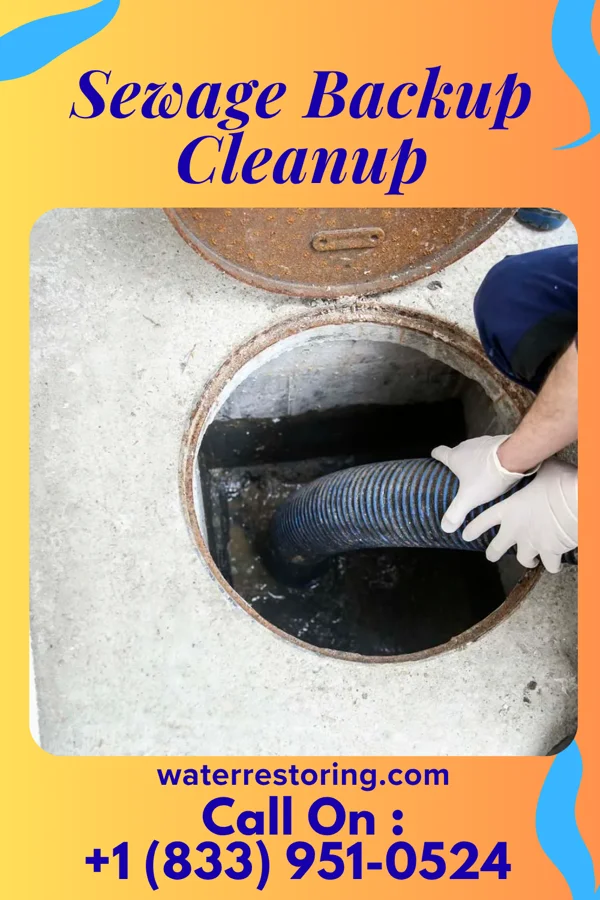 Sewage Backup Cleanup in Lake, MS