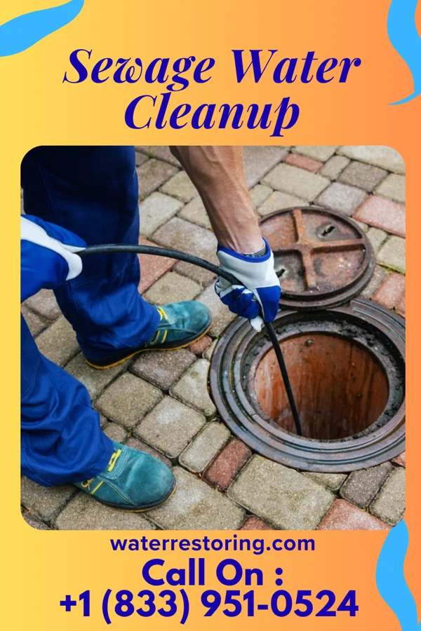 Sewage Water Cleanup in Lake, MS